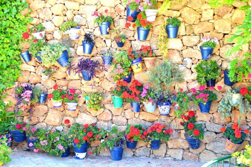 Casita Tranquila Villa Almería Kültér fotó